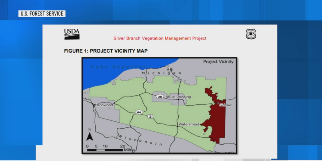 Environmental organizations file objection to U.S. Forest Service U.P. project Environmental organizations file objection to U.S. Forest Service U.P. project