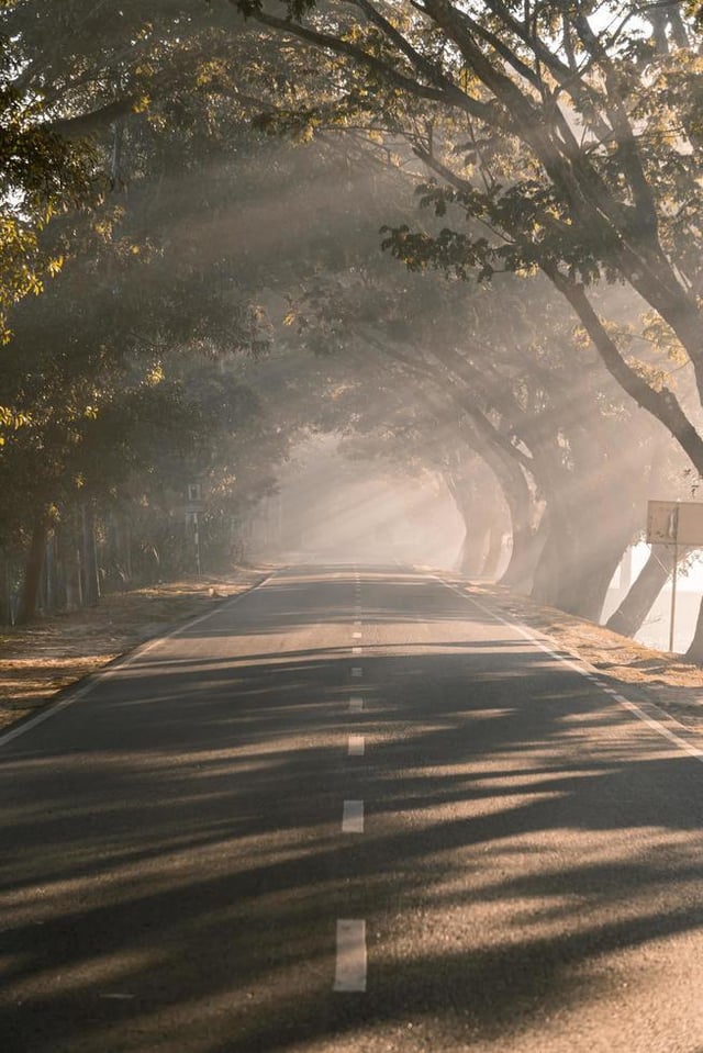 Foggy morning