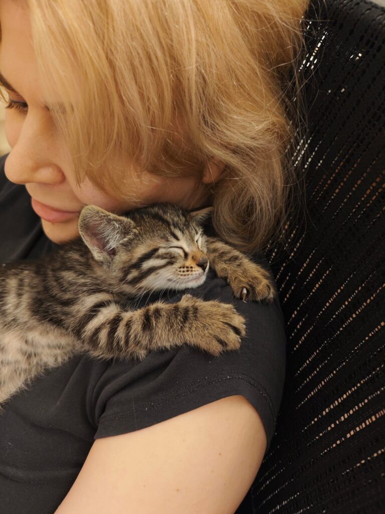 The kitten who was threw away in the paper box yesterday still needs loving family. I took her home for now, but I’m a tourist leaving country in less then a month and will have to put it back to the street. Please help The kitten who was threw away in the paper box yesterday still needs loving family. I took her home for now, but I'm a tourist leaving country in less then a month and will have to put it back to the street. Please help