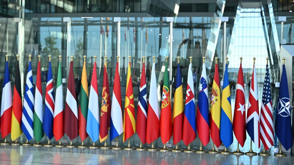 NATO lawmakers set to have own summit before Ankara event NATO lawmakers set to have own summit before Ankara event