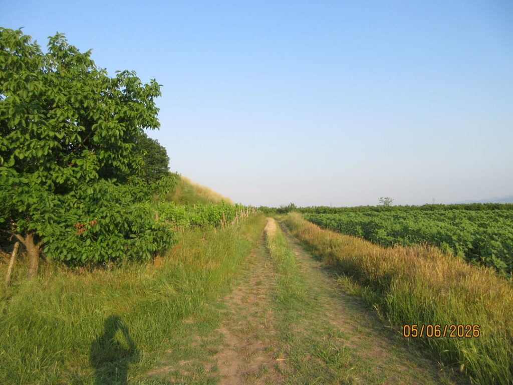 Another good day, another walk.