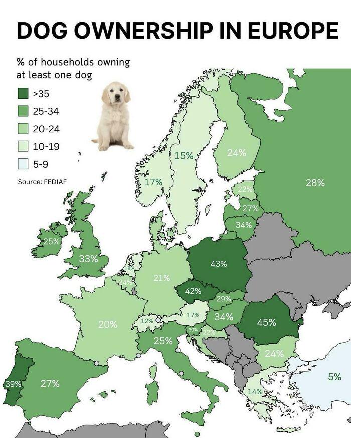 Dog ownership in Europe