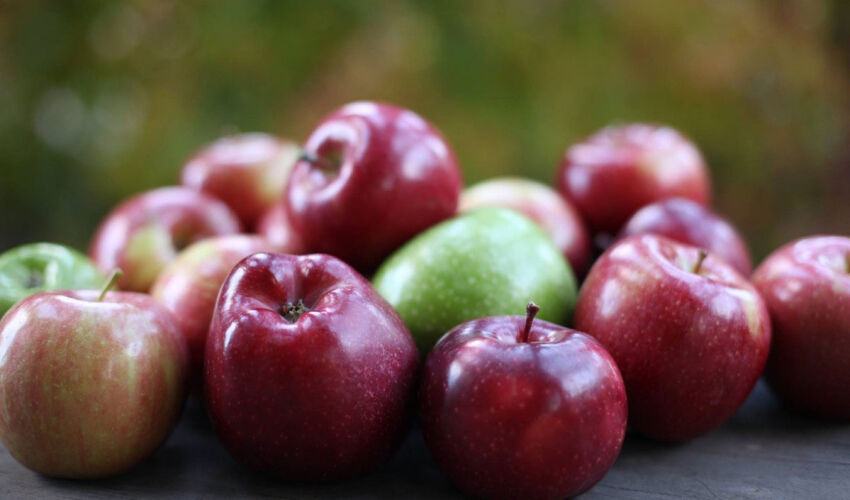 Moldovan apples