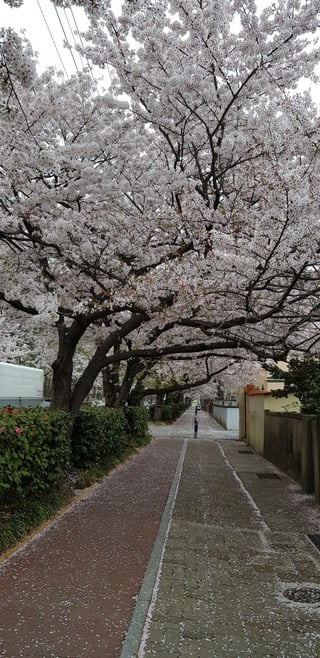 After the crowds left..