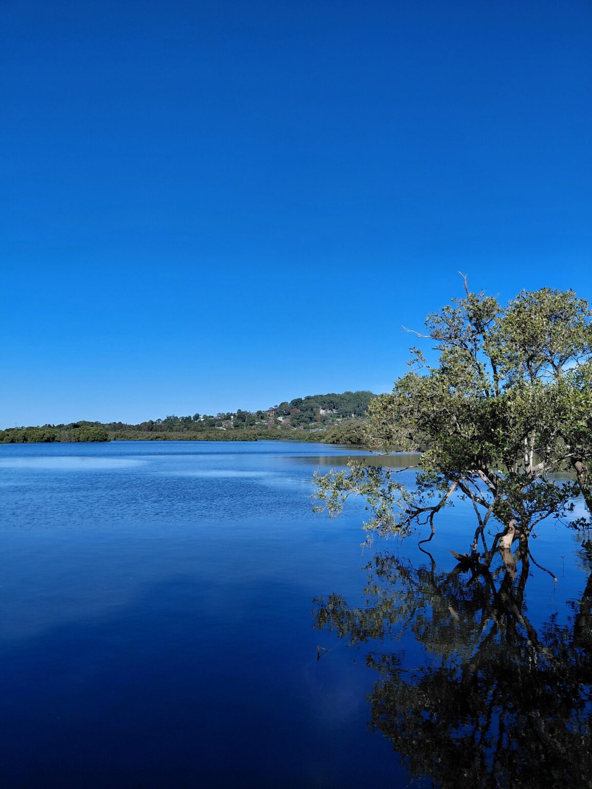 I love it when the water is still enough to see reflections.