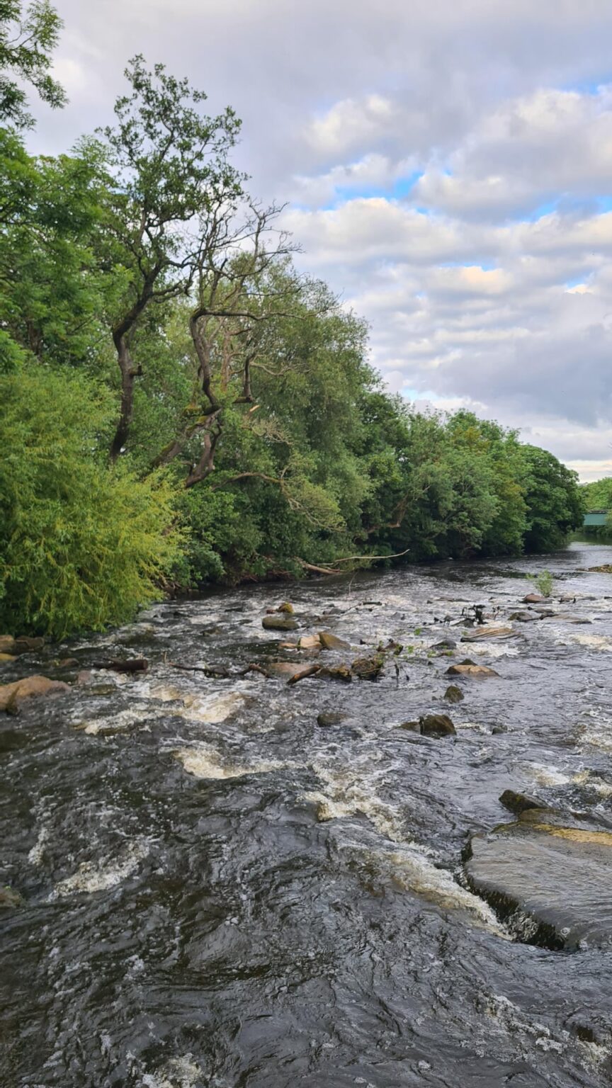 River Aire 'round Saltaire
