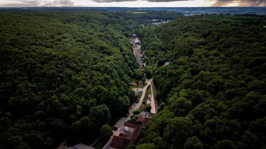 Fond-de-gras: Where the forest meets the railway.