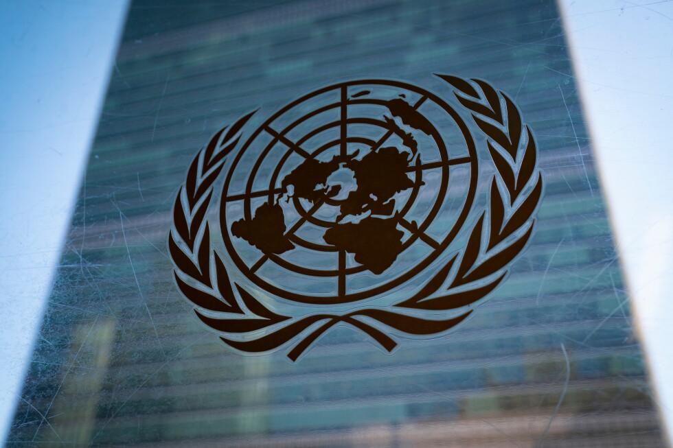 Portugal and Austria defeat Germany for seats on the UN Security Council