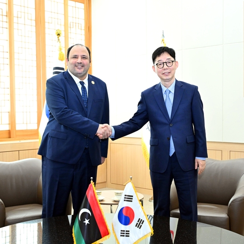 (LEAD) S. Korea asks Libya to support greater presence of Korean firms in African nation