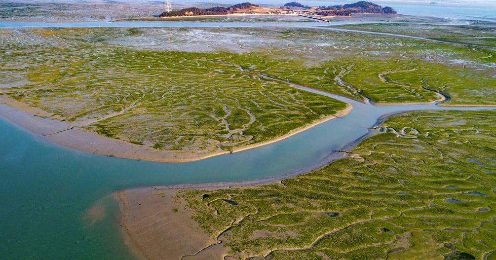 Korean tidal flats expansion recommended for UNESCO world heritage