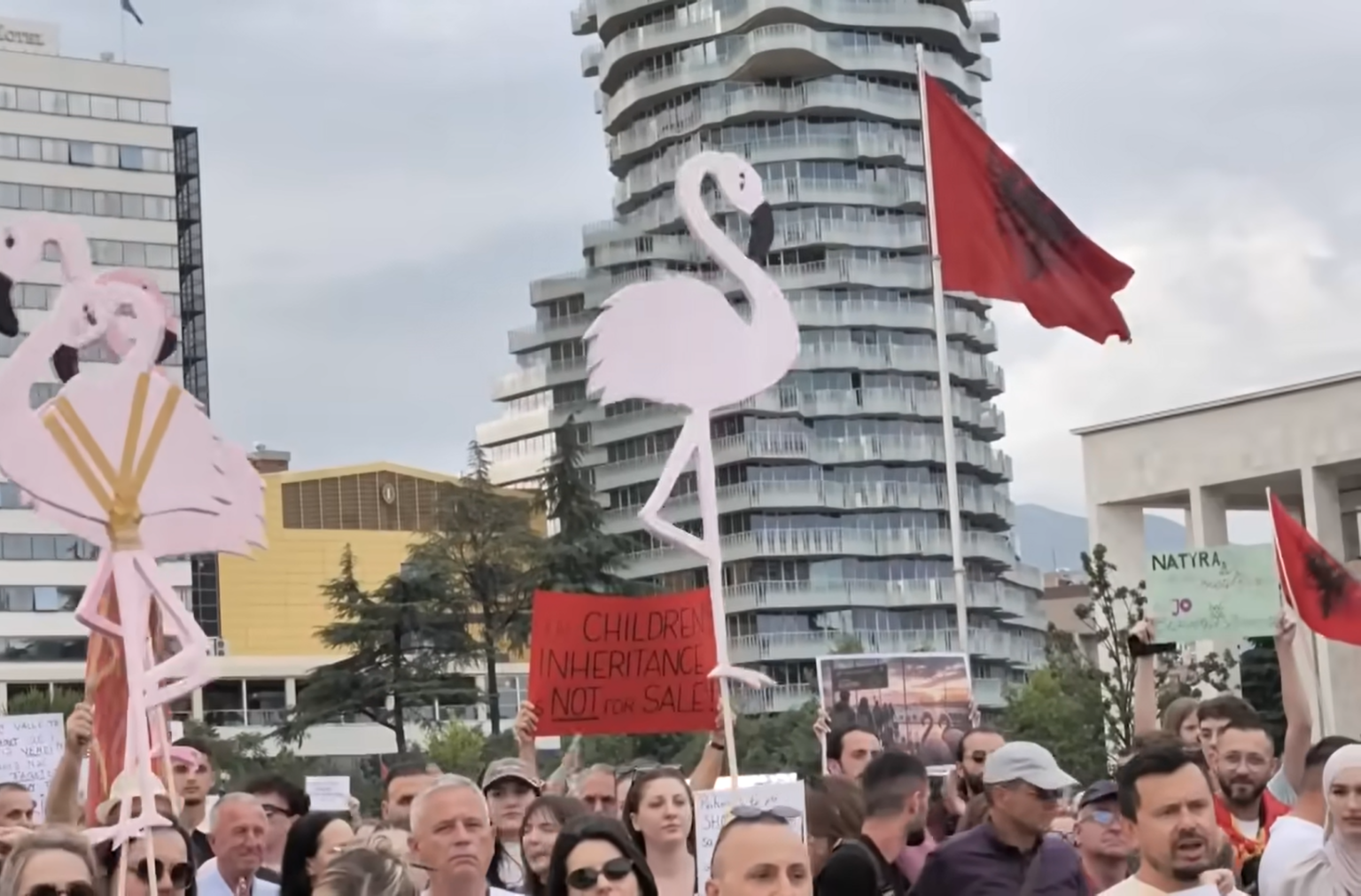 Revolt in Albania: Besa and Flamingos Revolt in Albania: Besa and Flamingos