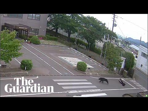Bear chases man in Fukushima, Japan
