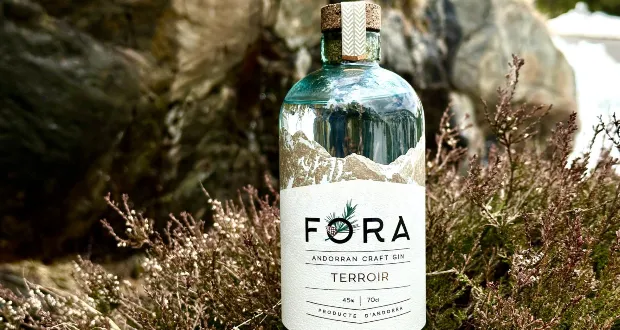 FORA-Terroir_1.webp
