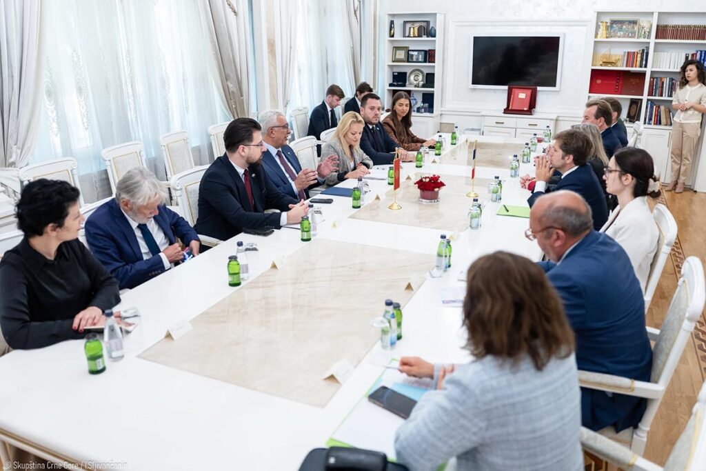 From Paper to Real Talks: France and Montenegro Strengthen EU Dialogue