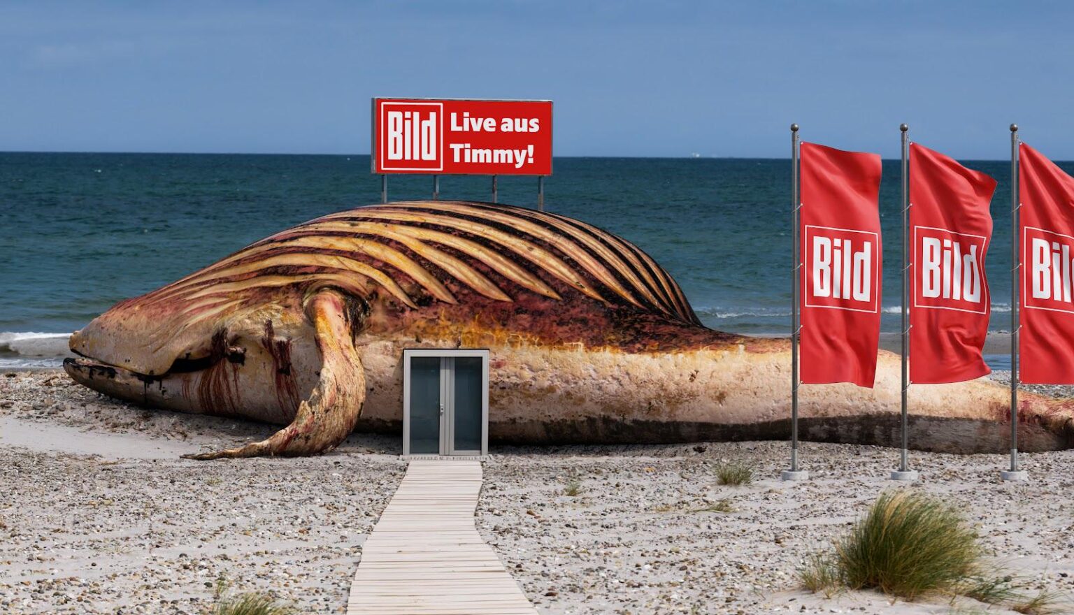 Bild-Zeitung builds editorial branch in whale Timmy's bloated carcass