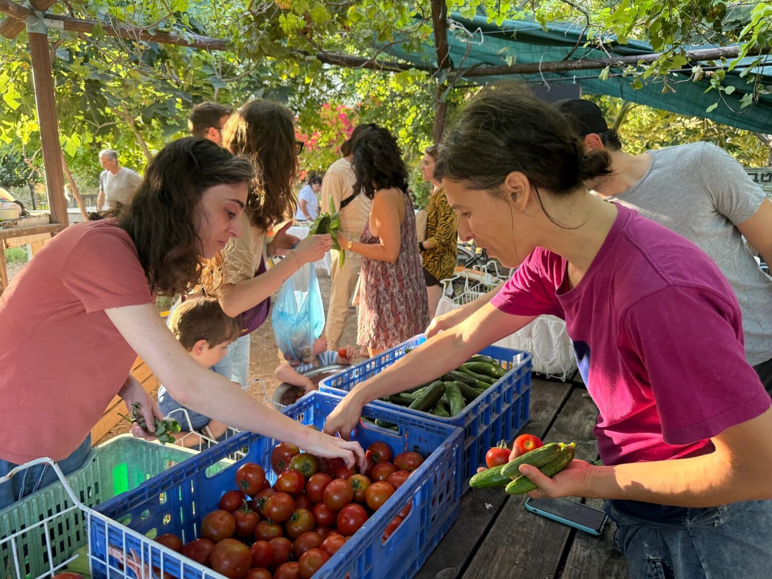 In south Tel Aviv, organic plant waste powers an eco-friendly mini-economy Browsing vegetables for sale at Lira Shapira's Tel Hubbes garden in south Tel Aviv, May 28, 2026. (Sue Surkes/Times of Israel)
