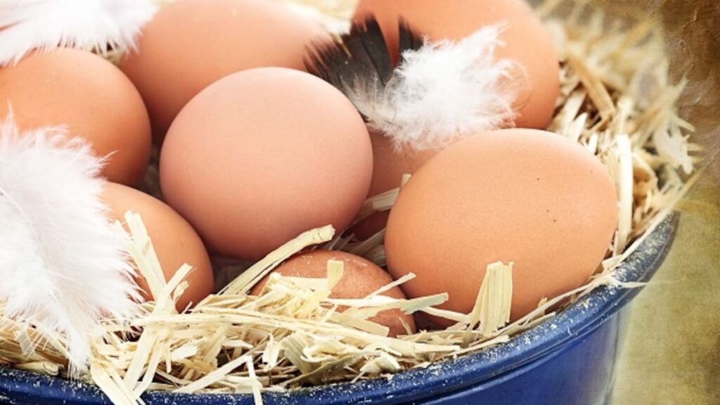Herald morning quiz: June 14 – New Zealand News Herald morning quiz: June 14 - New Zealand News