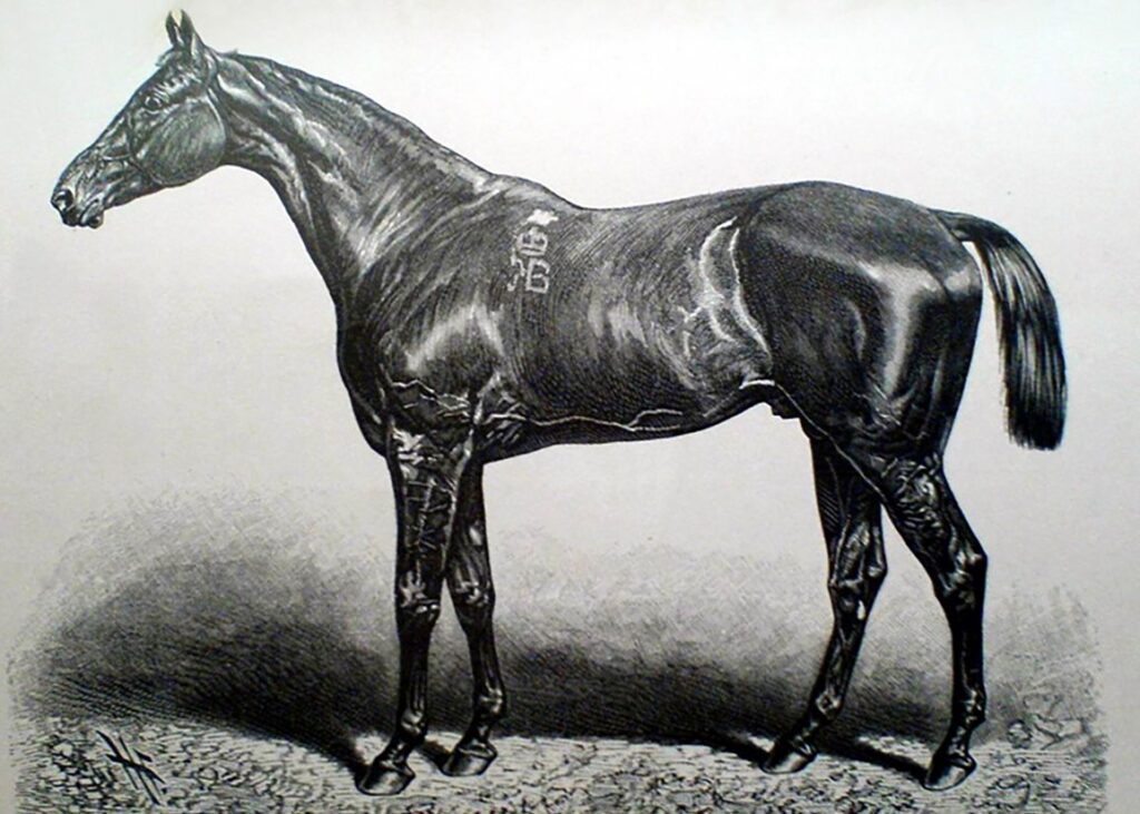 Kisber Remains the Toast of Hungary 150 Years After Derby Win Kisber Remains the Toast of Hungary 150 Years After Derby Win