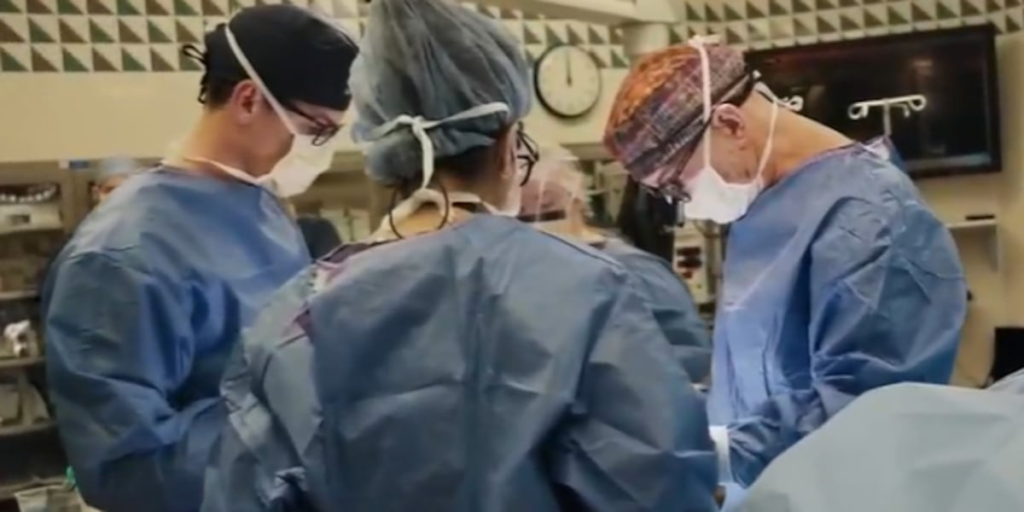Ga. Tech, Shriners Children’s develop AI tool for spinal surgery Ga. Tech, Shriners Children’s develop AI tool for spinal surgery