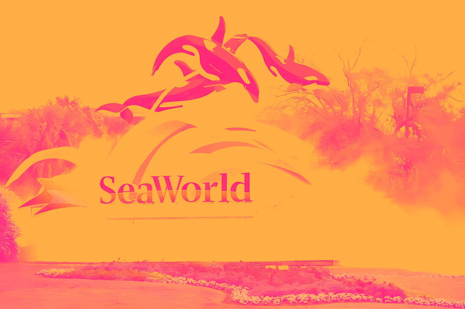 United Parks & Resorts and Flutter Entertainment Shares Skyrocket, What You Need To Know Article header image