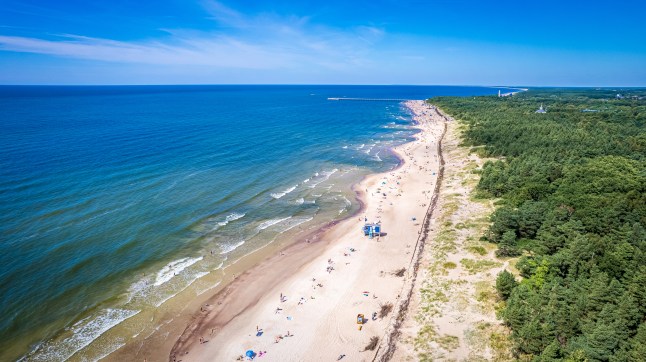 A bright view of the coast in Palanga, Lithuania, with blue sea, a stretch of white sand, and green forest.
