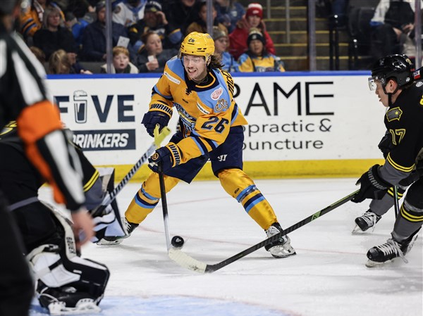 Highly productive Walleye defenseman McCourt signs to play in Sweden