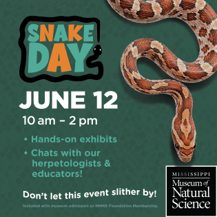 MS Museum of Natural Science Invites Visitors to a Summer of Discovery – From World Snake Day to Ice Age Fun Fridays MS Museum of Natural Science Invites Visitors to a Summer of Discovery – From World Snake Day to Ice Age Fun Fridays