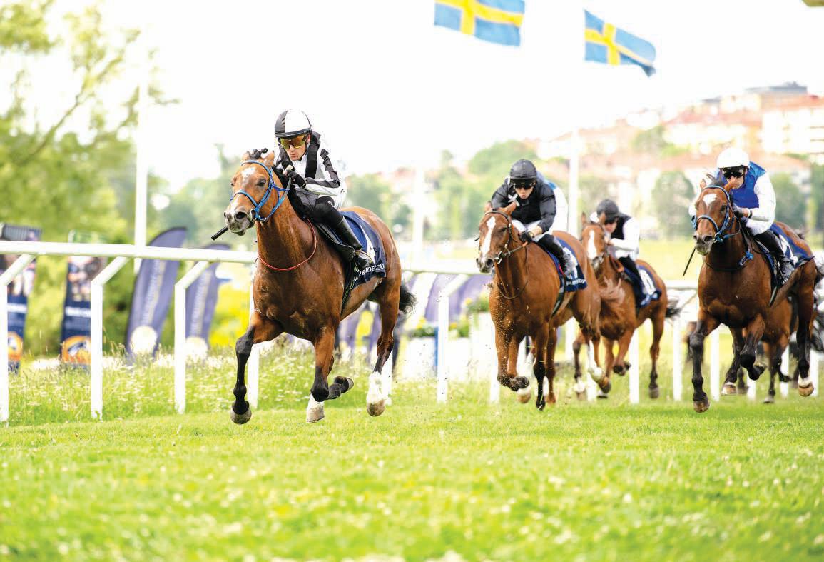 Wasmy Al Khalediah wins UAE President's Cup for Purebred Arabians race in Sweden