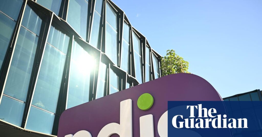 NDIS overhaul will ‘harm’ Australians with disabilities, government’s own committee warns | National Disability Insurance Scheme