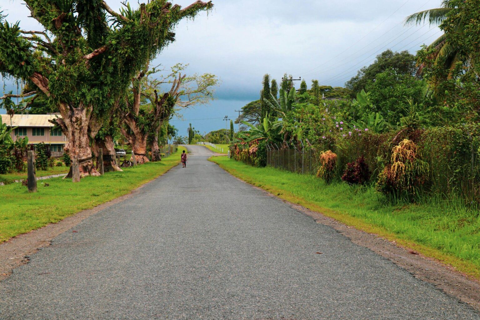 Study: Pacific Islanders Appear To Have Most Ancient Human DNA On Earth