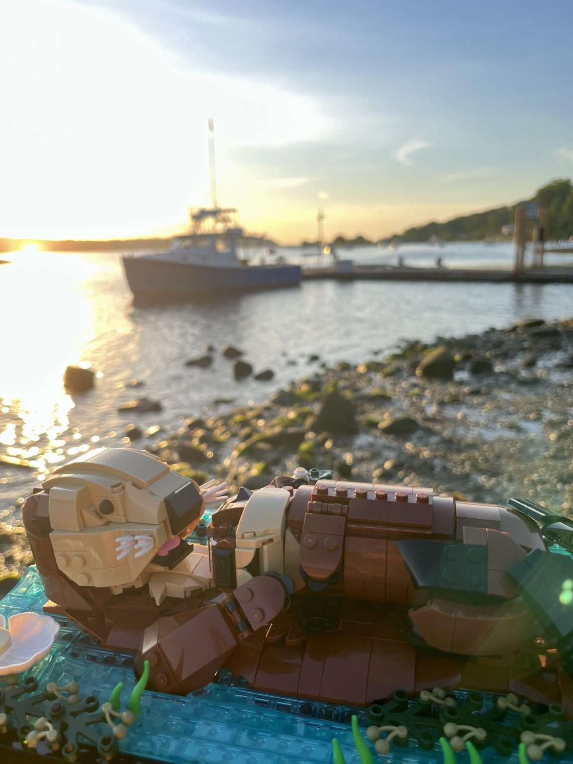 Brought my two hobbies together by taking my Lego outside for a photo-op