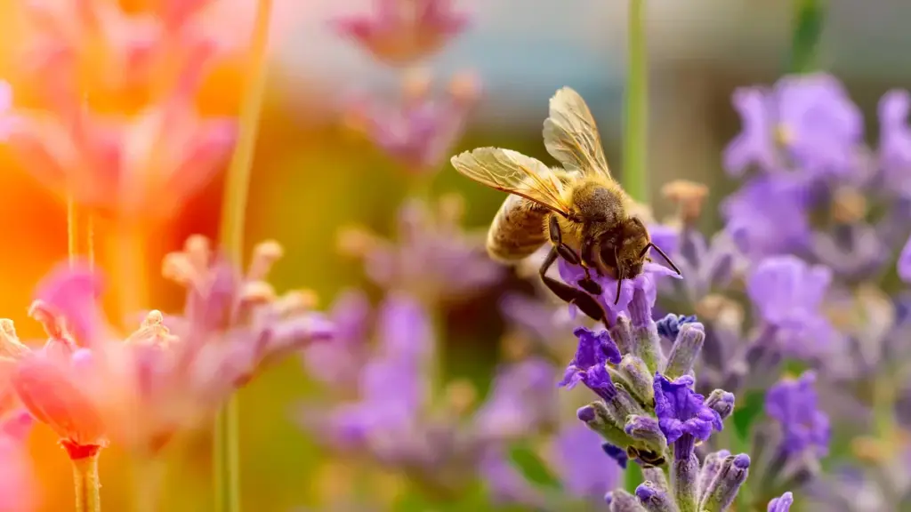 Kyndryl uses Agentic AI to support biodiversity in Luxembourg Kyndryl uses Agentic AI to support biodiversity in Luxembourg