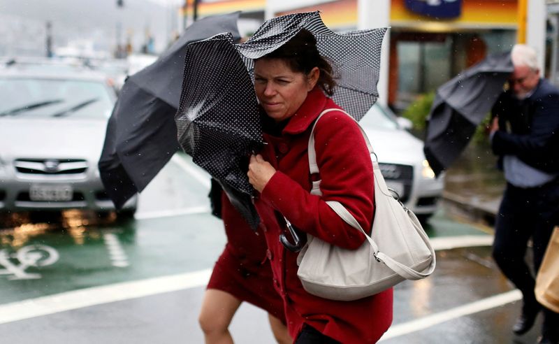 New Zealand activist mounts legal challenge to plan to change climate law New Zealand activist mounts legal challenge to plan to change climate law