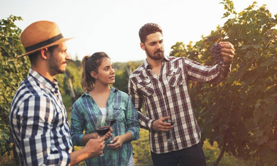 Could factory and winery tours become Cyprus’ next tourism trend?, KNEWS Could factory and winery tours become Cyprus' next tourism trend?, KNEWS