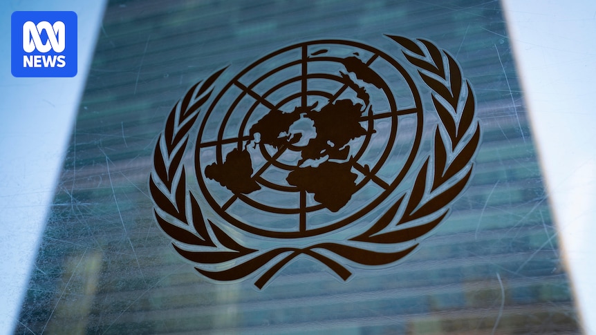 Five countries elected to UN Security Council as Germany misses out Five countries elected to UN Security Council as Germany misses out