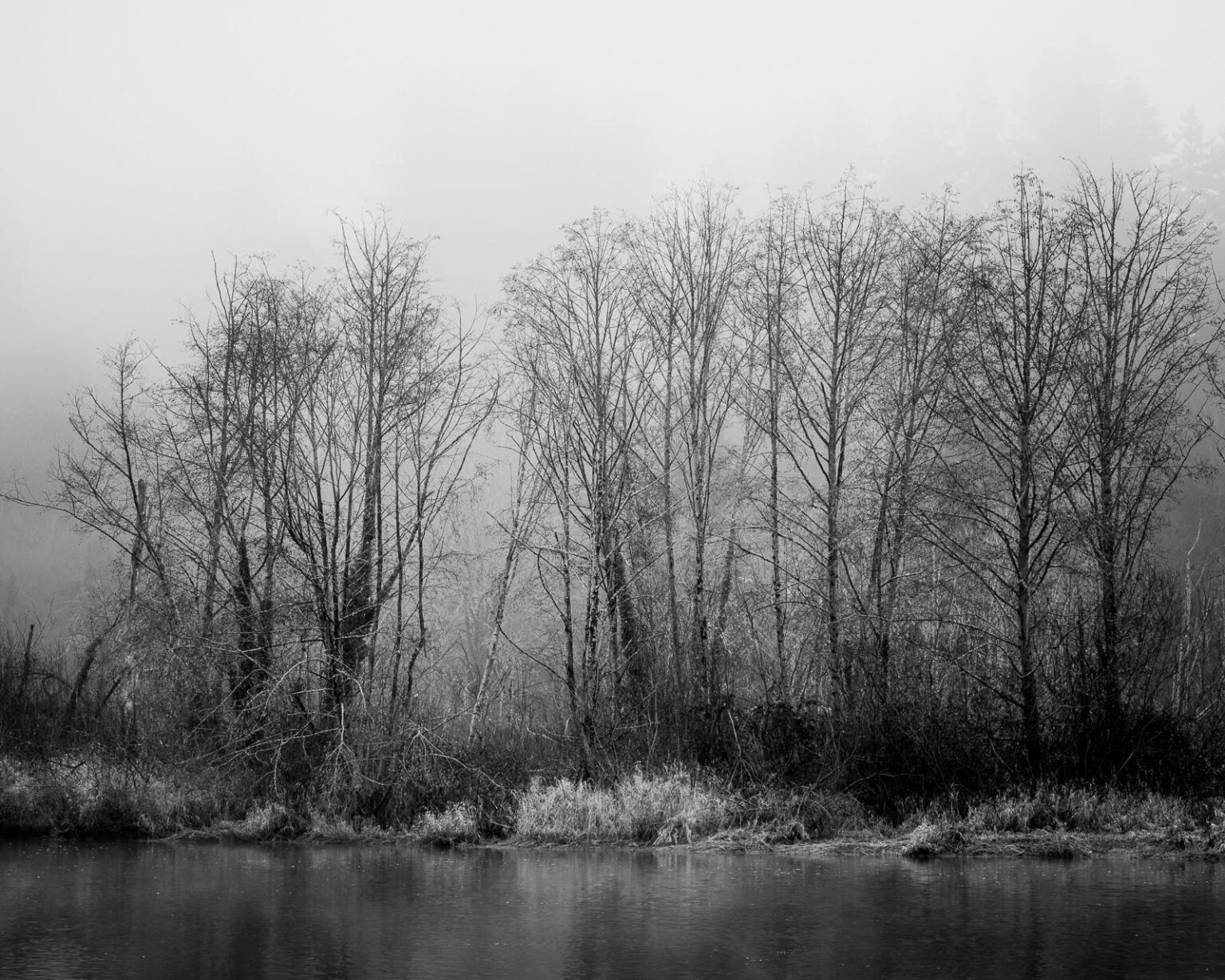 Where the River Slows, Deschutes River, Tumwater, Washington, 2026 [OC]