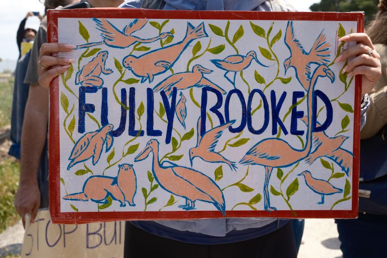 Protesters demonstrate against the planned development of the land, with signs showing pink flamingos whose habitat they say is being threatened.