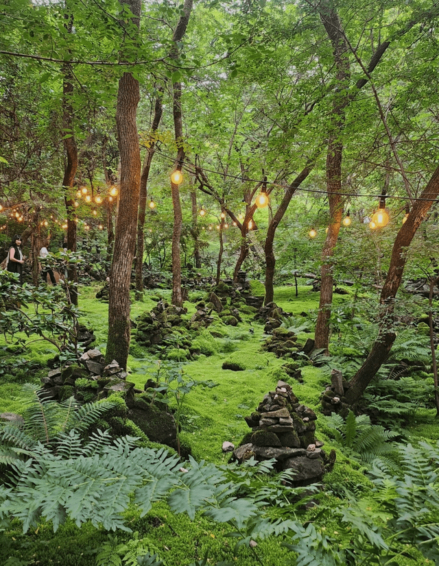 An Inchanted Forest in Korea