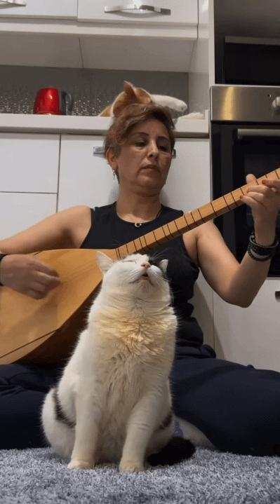 When you reach nirvana.