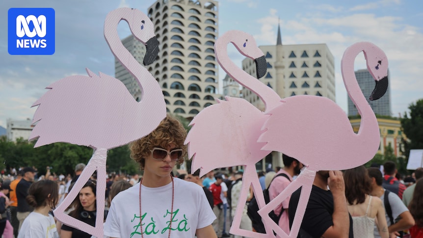 A ‘flamingo revolution’ vs a Trump resort. Inside Albania’s anti-Kushner protests A 'flamingo revolution' vs a Trump resort. Inside Albania's anti-Kushner protests