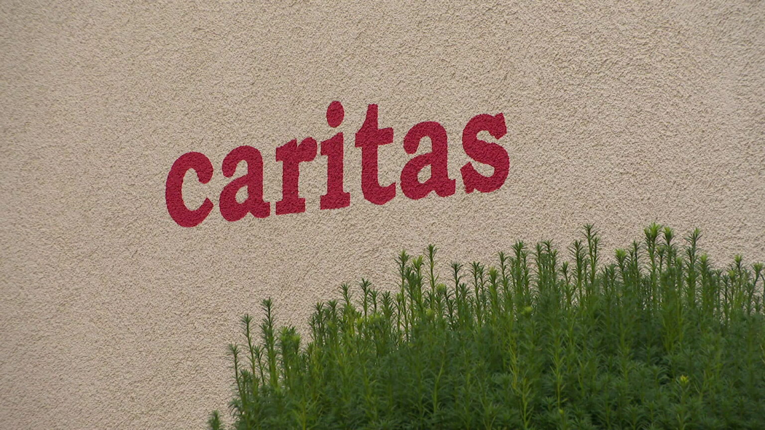 Caritas fraud scandal: Woman suspected of key role arrested in Rome Caritas fraud scandal: Woman suspected of key role arrested in Rome