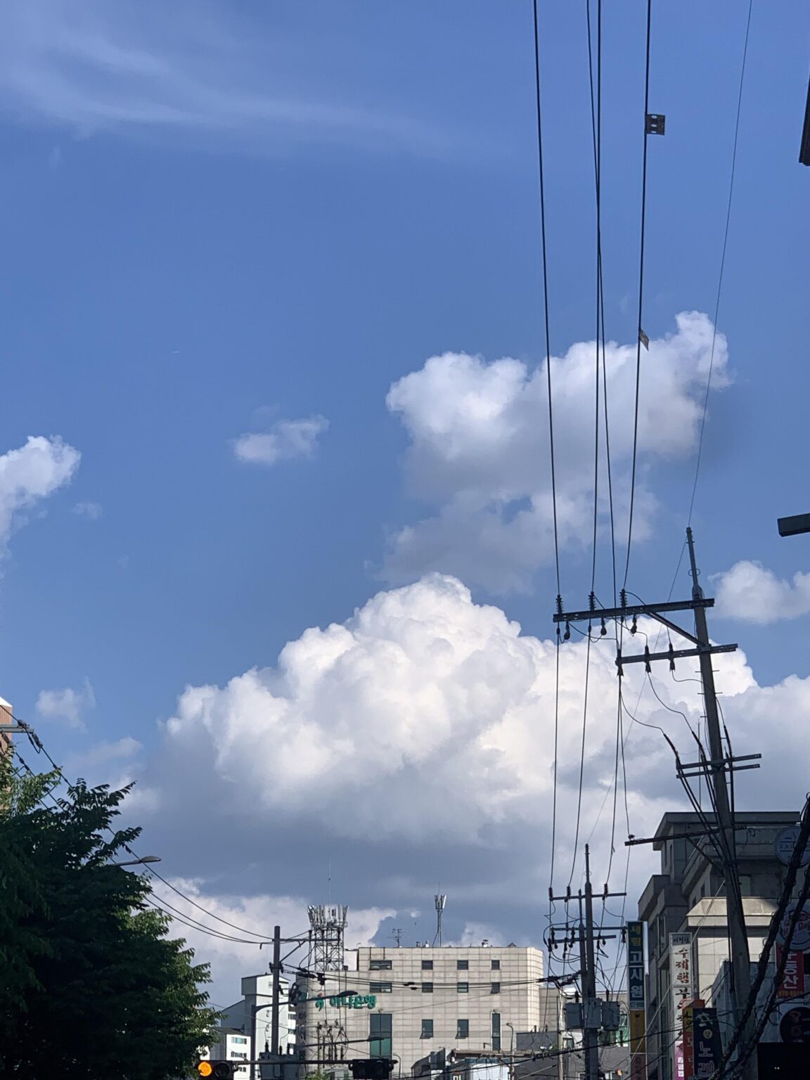 Today's weather
