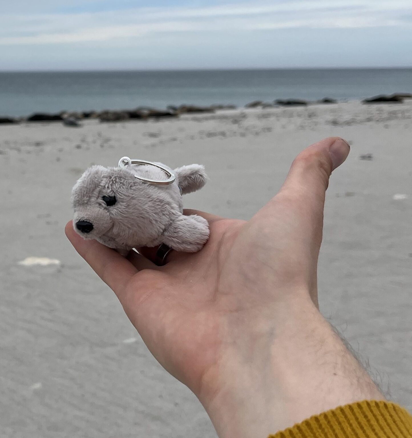 I lost this Helgoland-Fella - does anyone know where to buy a new one?