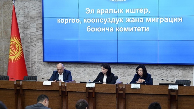 Parliamentary Committee reviews performance of Kyrgyz Envoys to Belarus, UAE, and Almaty behind closed doors