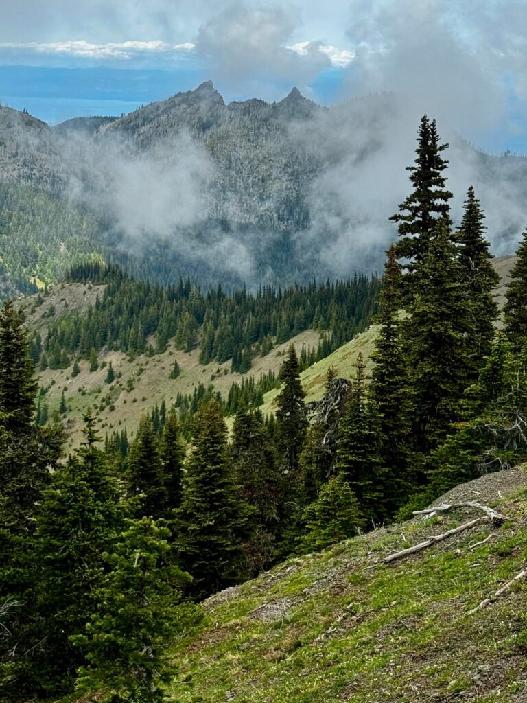 The Olympic mountains in Washington