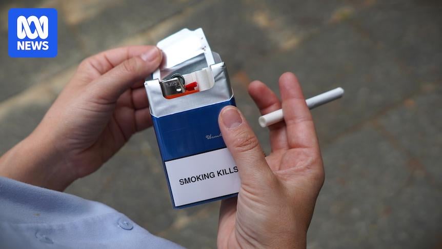 ABS estimates 80pc of tobacco consumed in Australia last year was illegally sourced