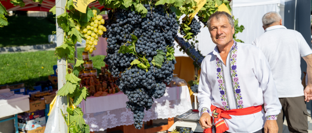 Moldova’s table grape growers race to meet EU standards Moldova’s table grape growers race to meet EU standards