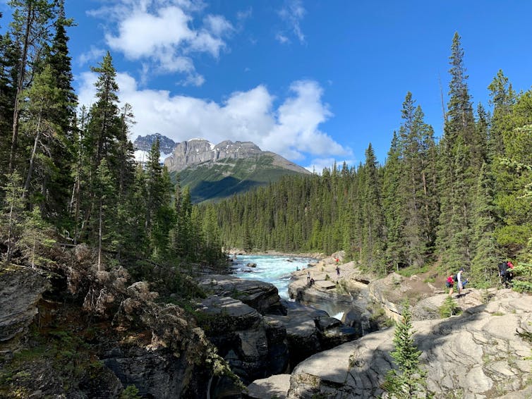 A river runs through a landscape of tall trees with a deep blue sky behind