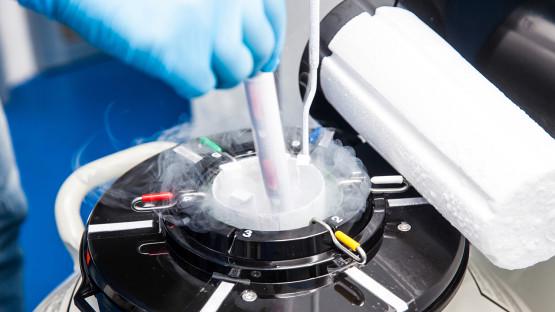 Improved embryo freezing technique could preserve endangered species