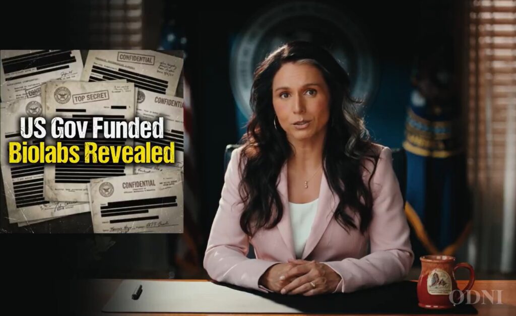 Tulsi Gabbard Sparks Fury By Going All In on Biolabs Theory Tulsi Gabbard Sparks Fury By Going All In on Biolabs Theory